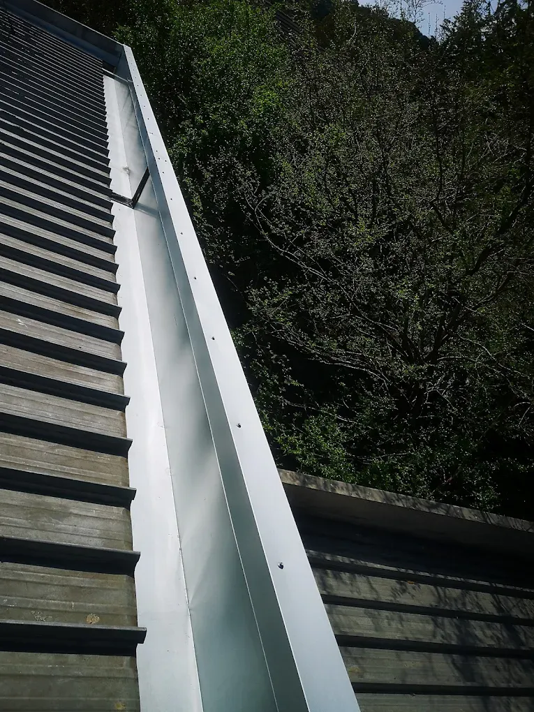 CTD-Guttering-35.webp
